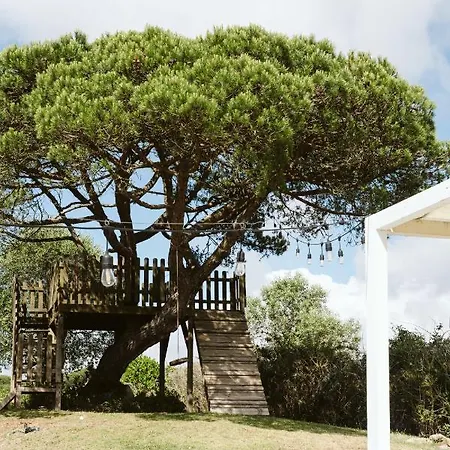 Alojamento de Acomodação e Pequeno-almoço Dreamsea Surf Gouveia (Lisbon)