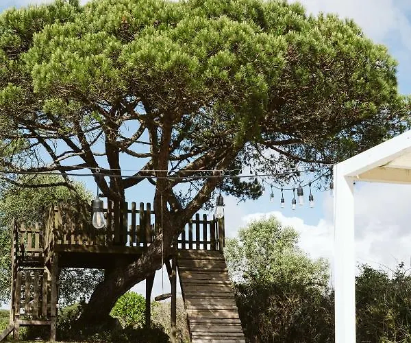 Oda ve Kahvaltı Dreamsea Surf Gouveia (Lisbon)