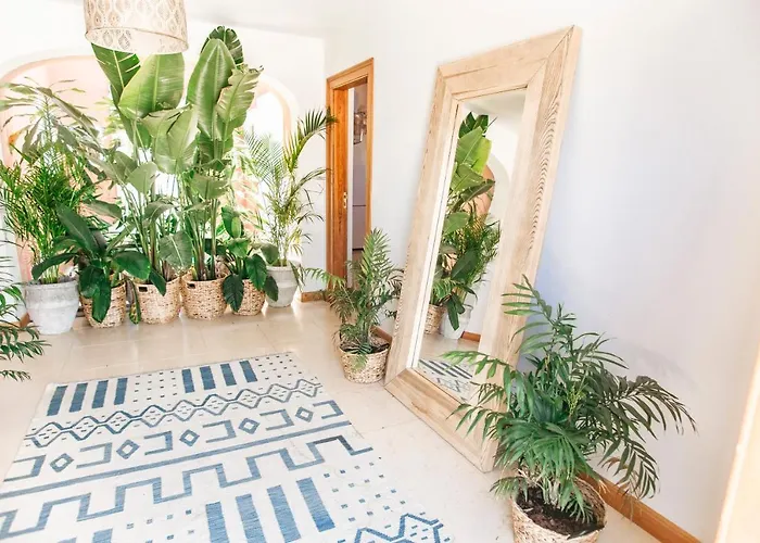 Dreamsea Surf Oda ve Kahvaltı Gouveia (Lisbon)